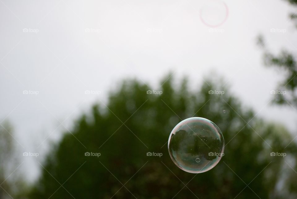 Bubble