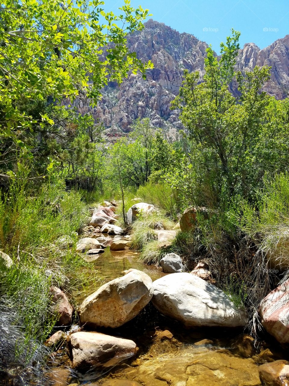 Nature, Water, Rock, Landscape, Wood