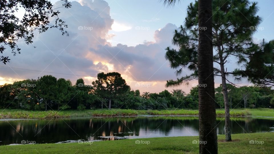 Evening in Boynton Beach. I took this picture in the evening at the lake at my house in Boynton Beach Florida.