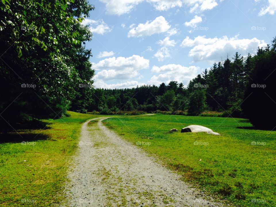 Path at Great Brook, Carlisle. Summer at Great Brook Farm, Carlisle, Massachusetts 