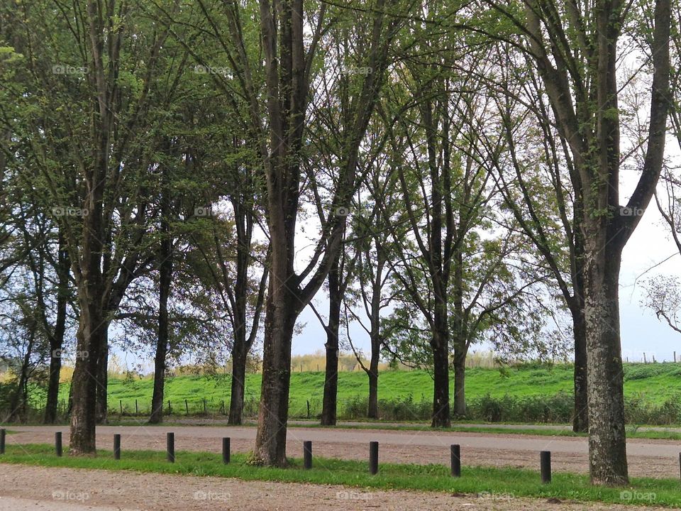 Recreation area for walking and sports