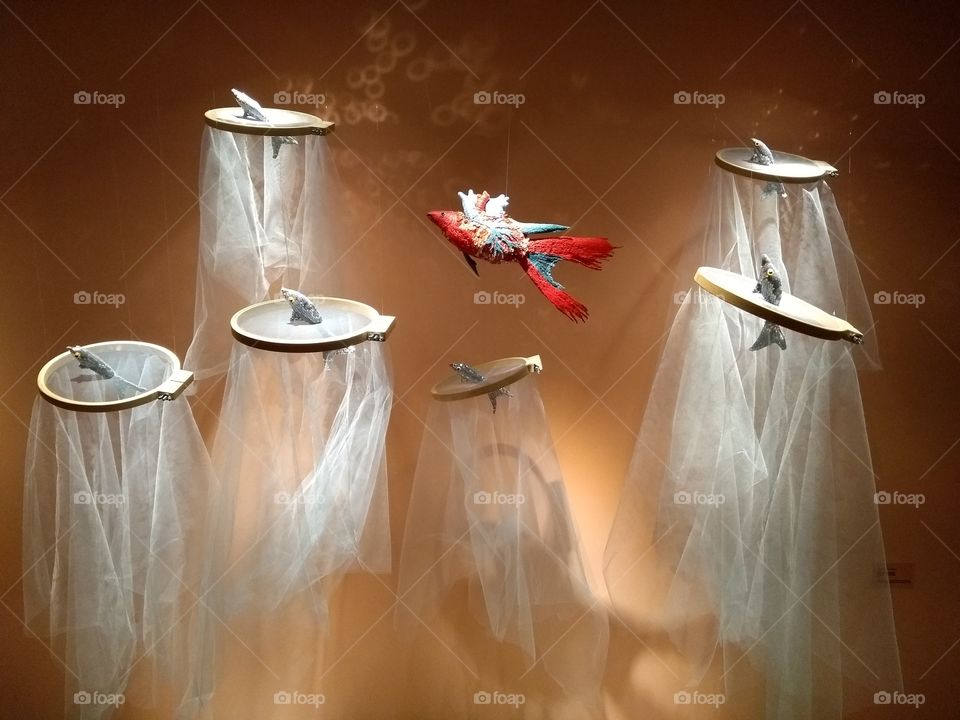 the big show of lights