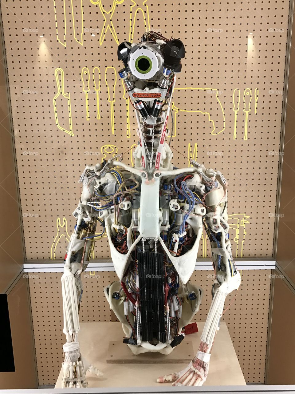 robotics exhibition 
