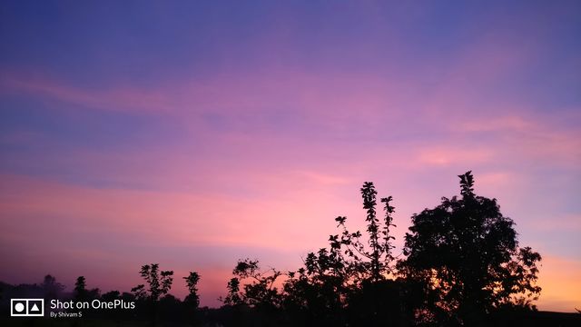 evening view