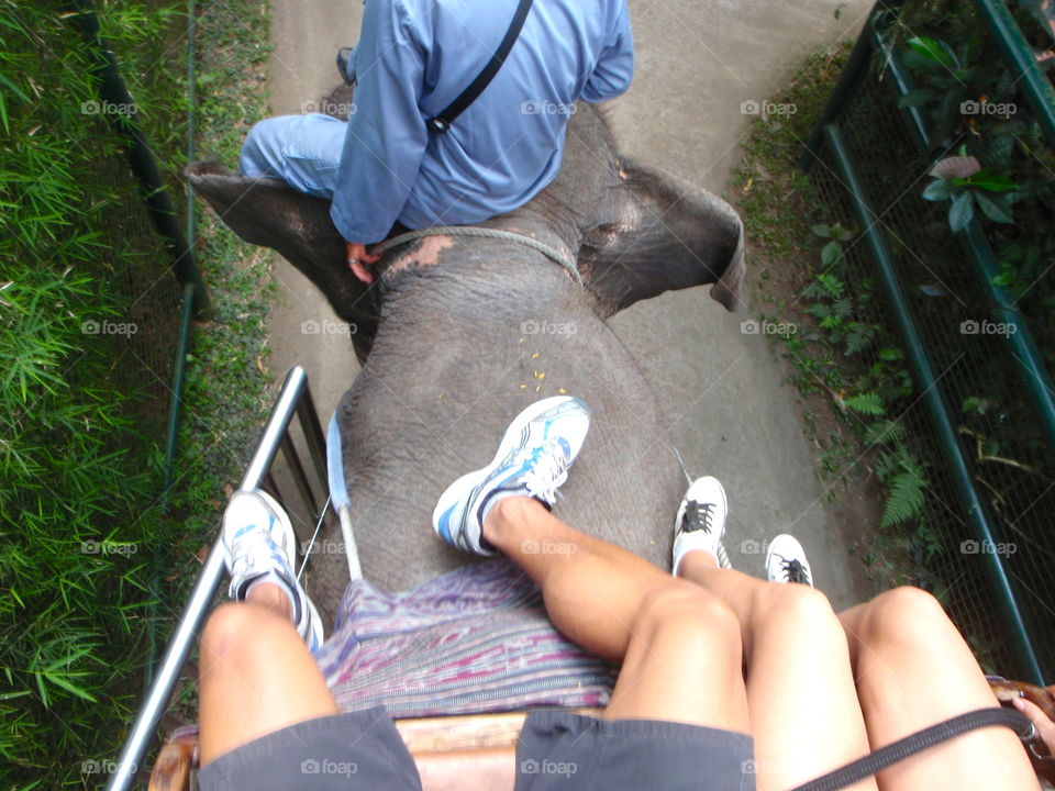 Elephant ride. Indonesia 