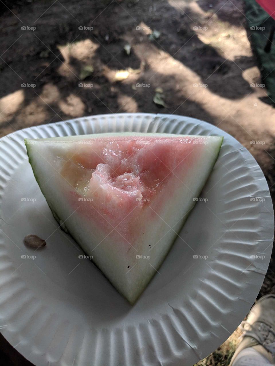 Fresh outta the farm watermelon in an almond farm in NorCal.