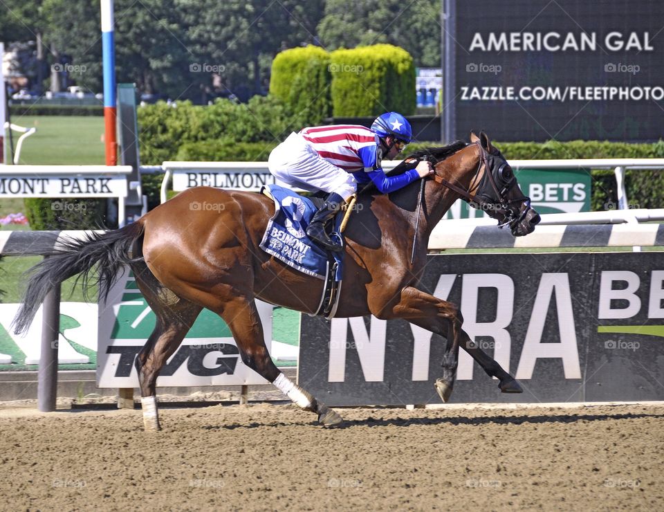 American Gal winning the Victory Ride Stakes at Belmont Park.