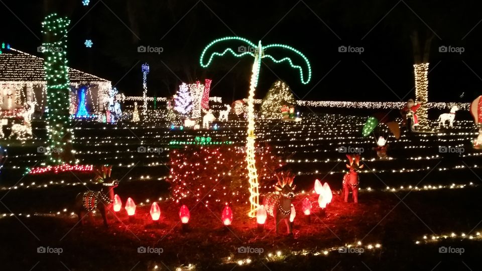 Florida Christmas lights
