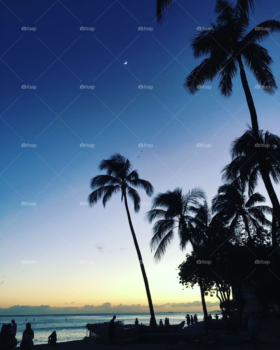 Waikiki sunset beach