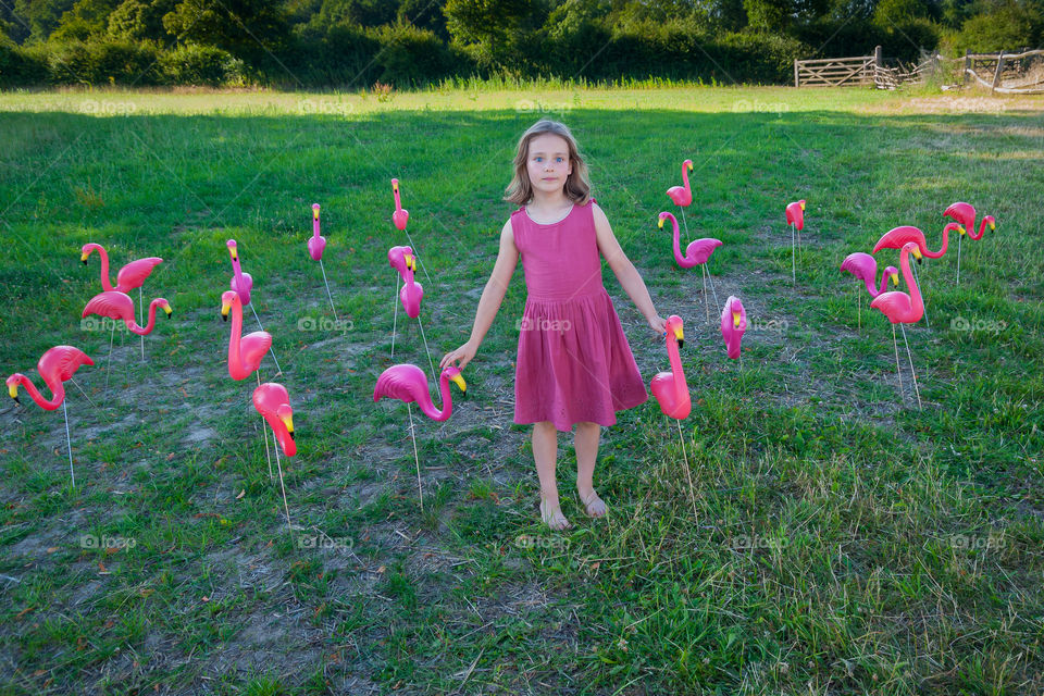 Little girl and her flock of flamingos during evening walk.