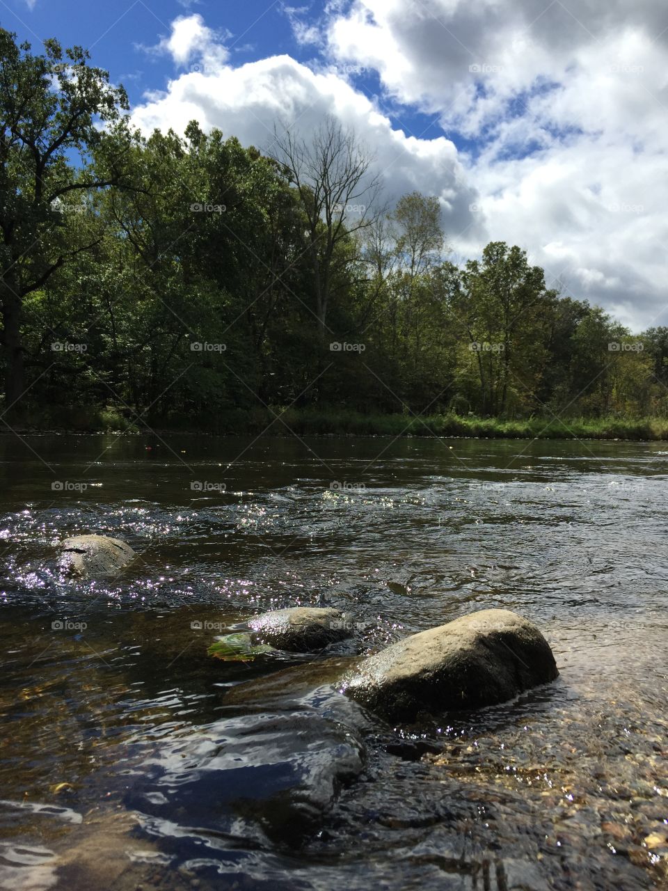 Rocks in the river. Rocks in the river