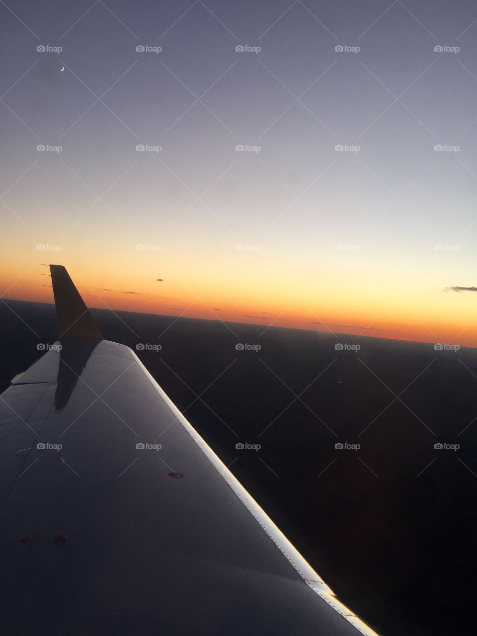 flying into the sunset 