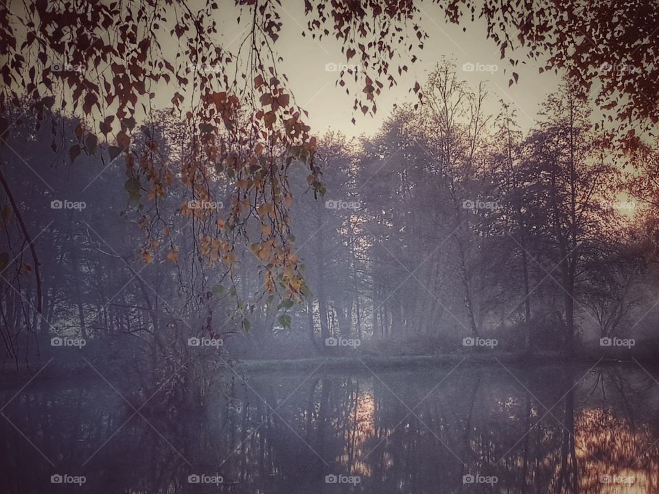 little lake in autumn fog
