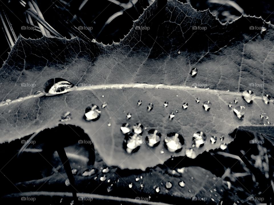 Droplets