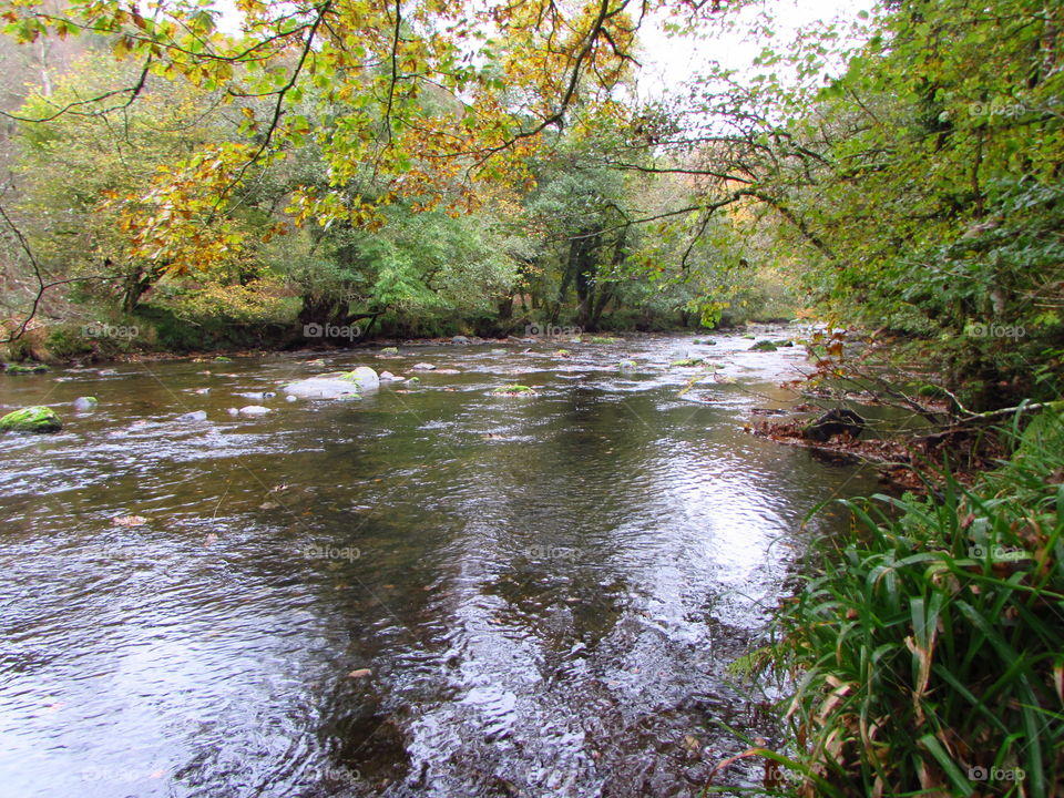 Scenic view of river barle