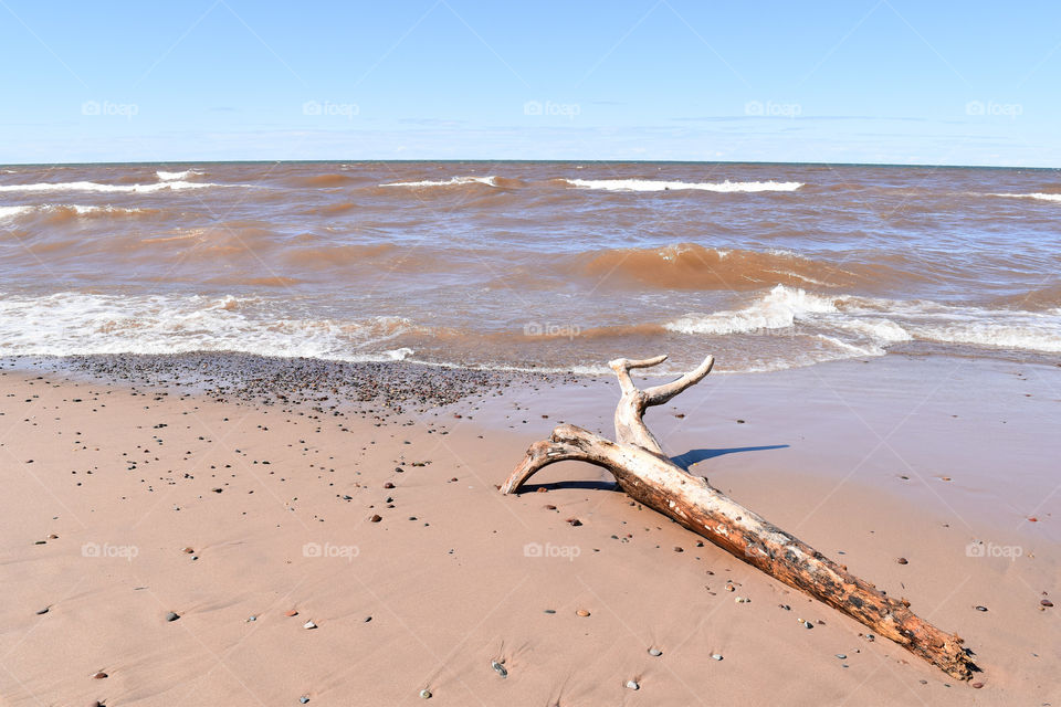 Drift wood on the beach at Lake Superior