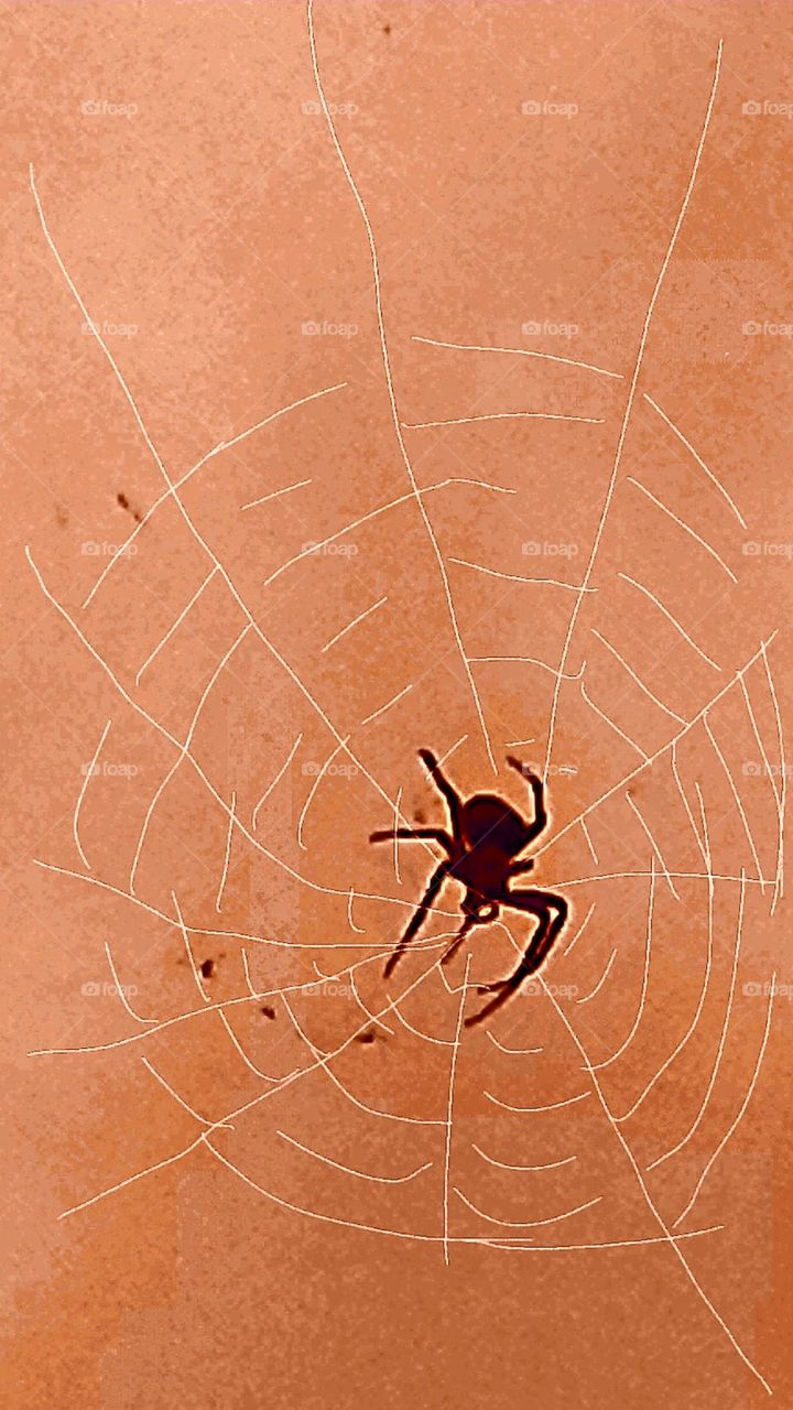 Charlotte is that you