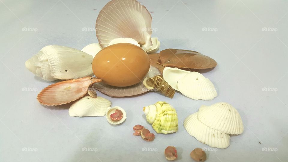 egg