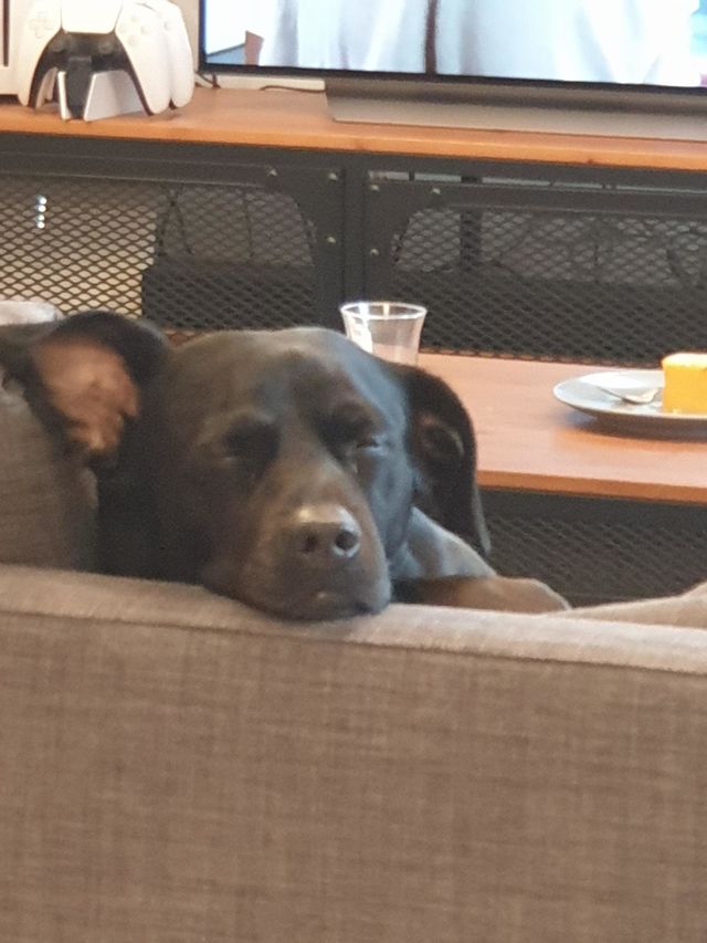 Harry sleeping 2
