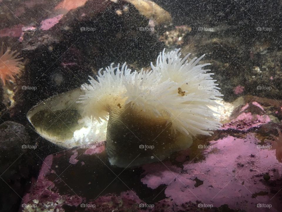 New England Aquarium 