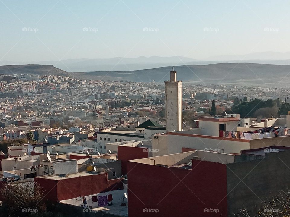 The mosq between the population