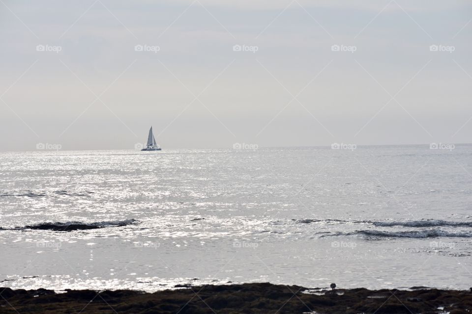 Sailboat on the ocean