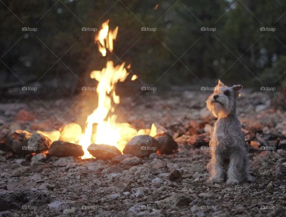 Staying warm by the campfire 