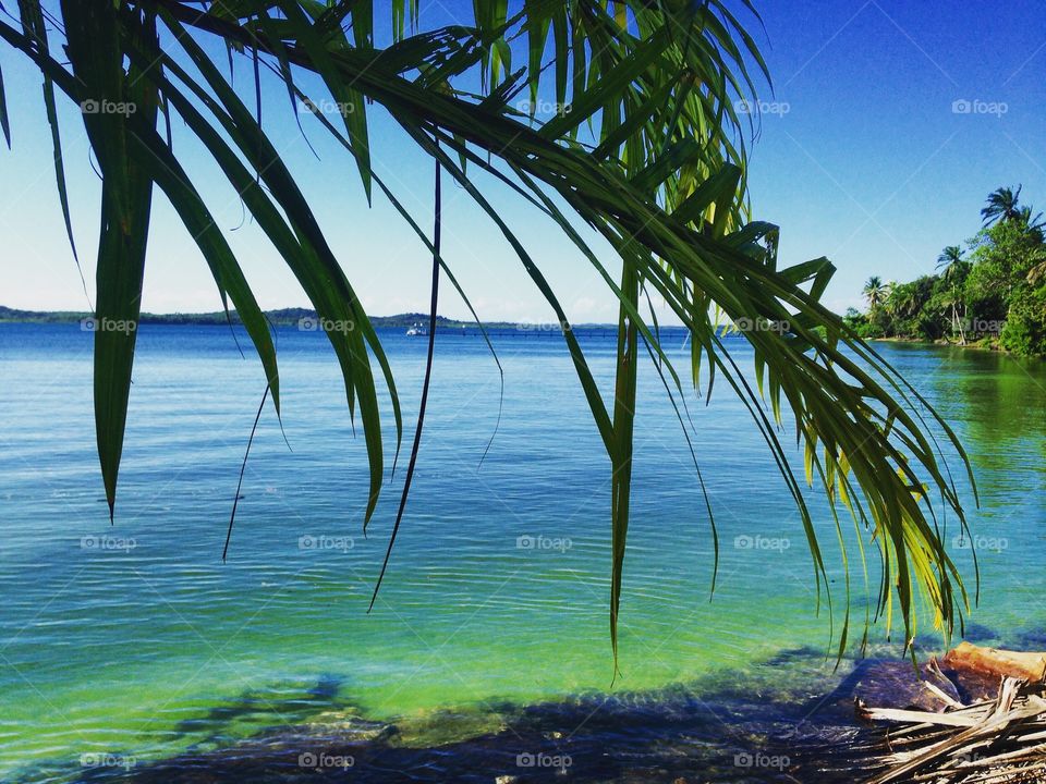 Catu Beach, Itaparica Island, All Saints Bay