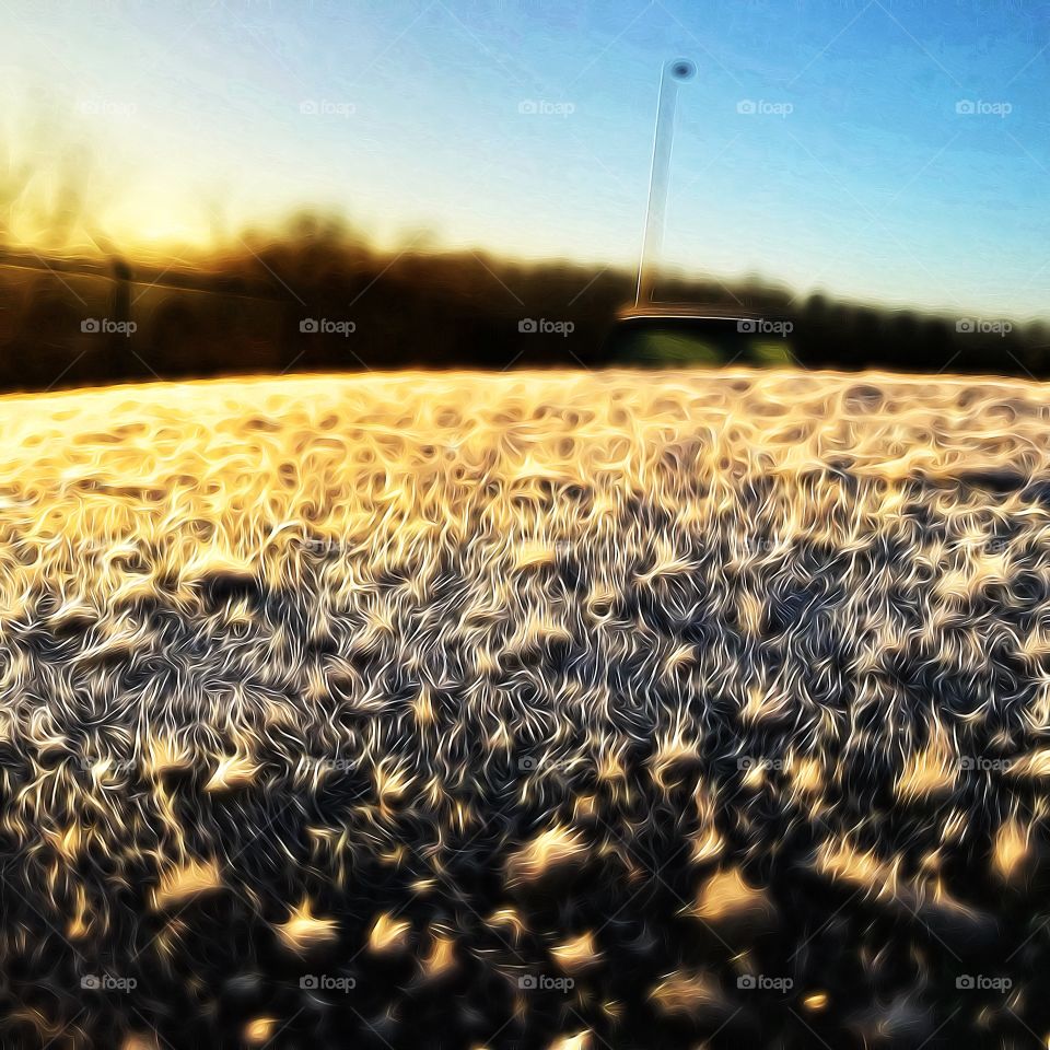 Car frost with affect