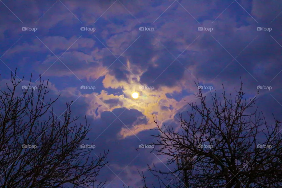 Sky