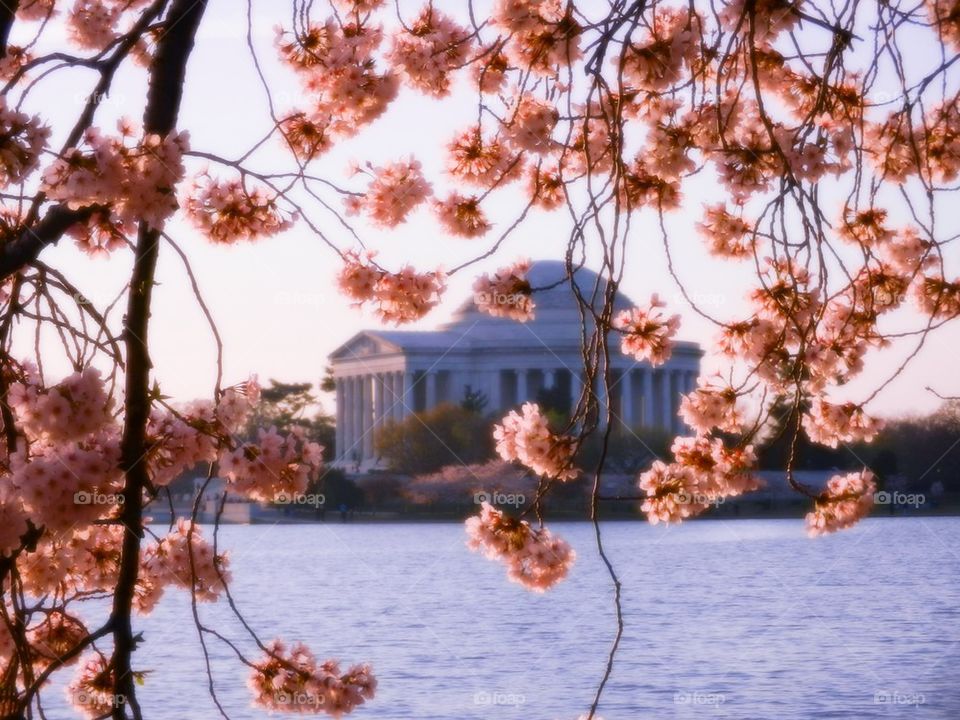 Jefferson Memorial
