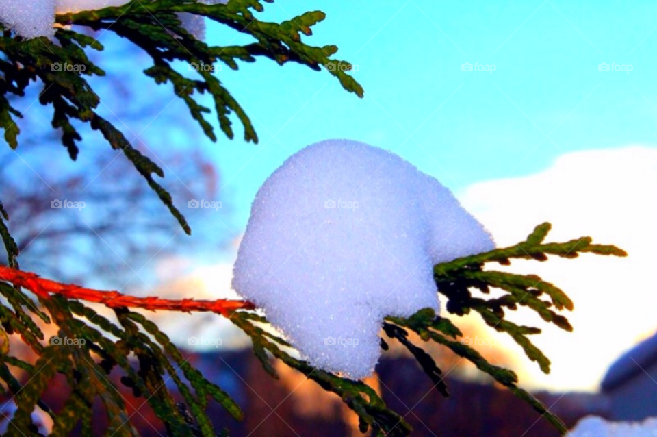 snow winter sky tree by merethe