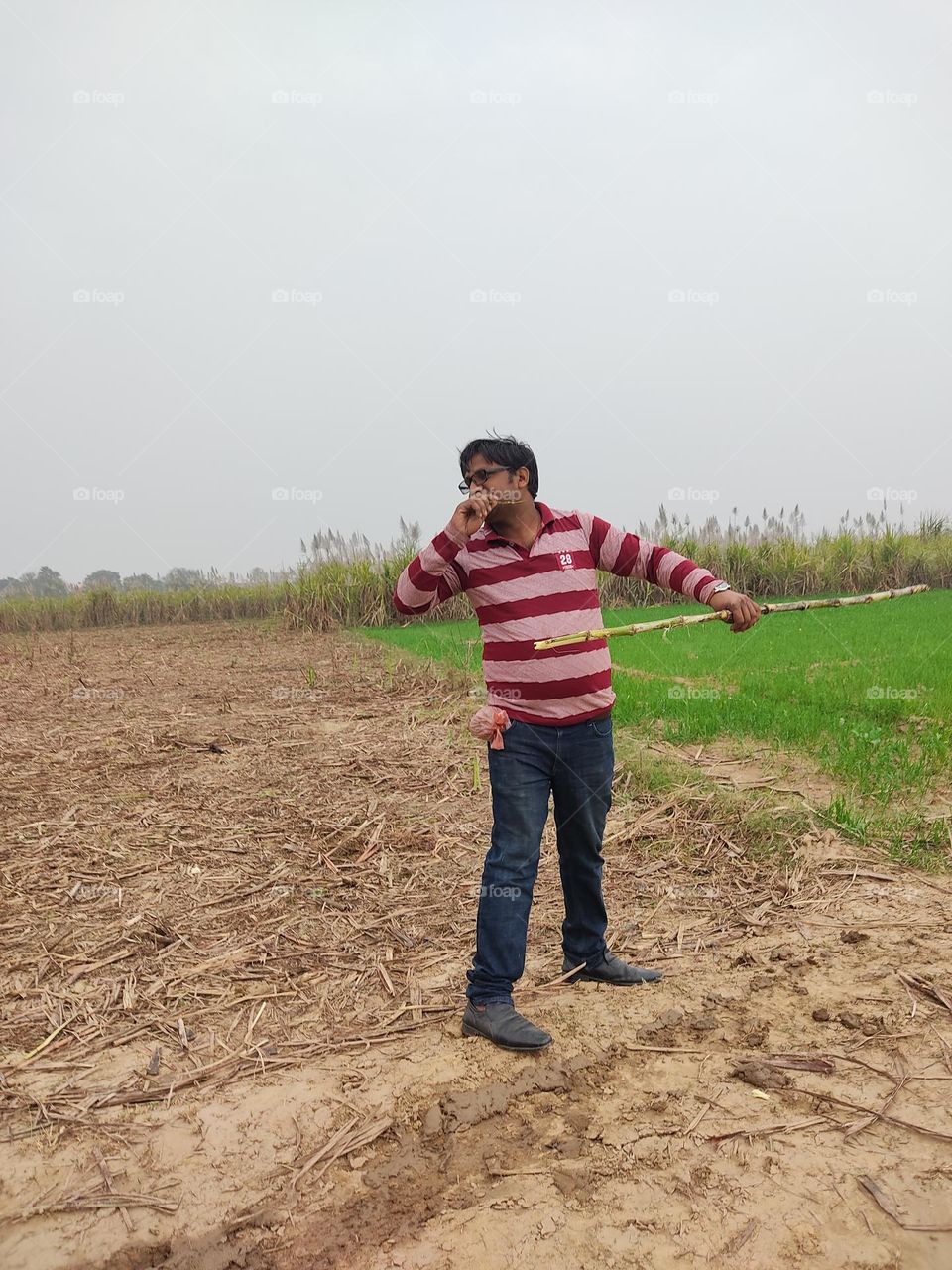A young man eating sugarcane in the field.