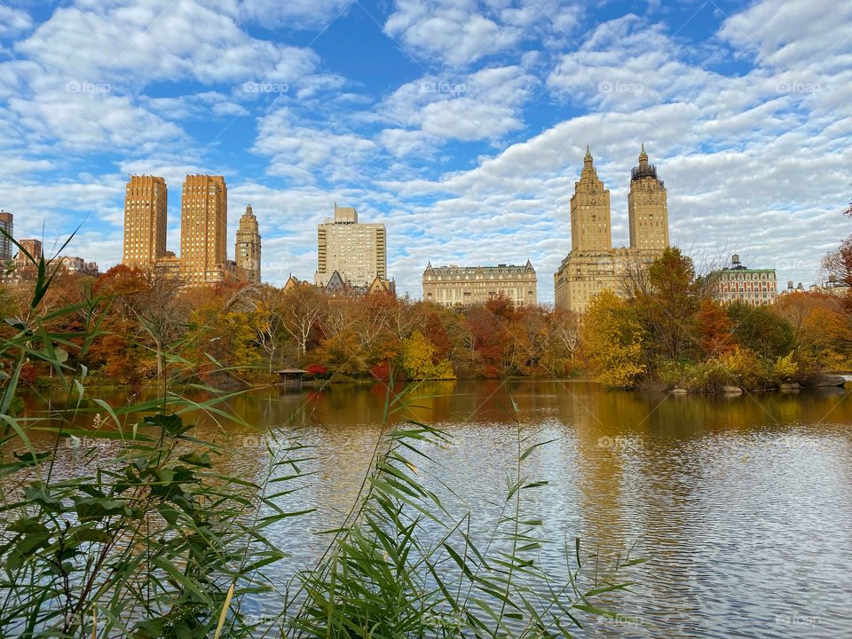 City Landscape Central Park