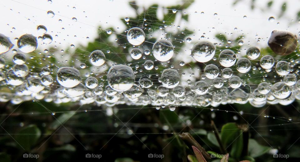 Autumn rain reflections