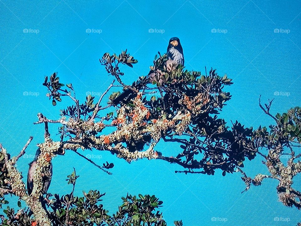 bird on branch of tree