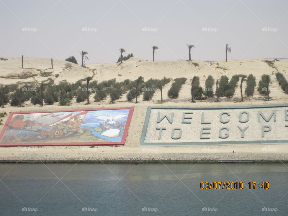 # Egypt# desert# sand# ancient# tree#