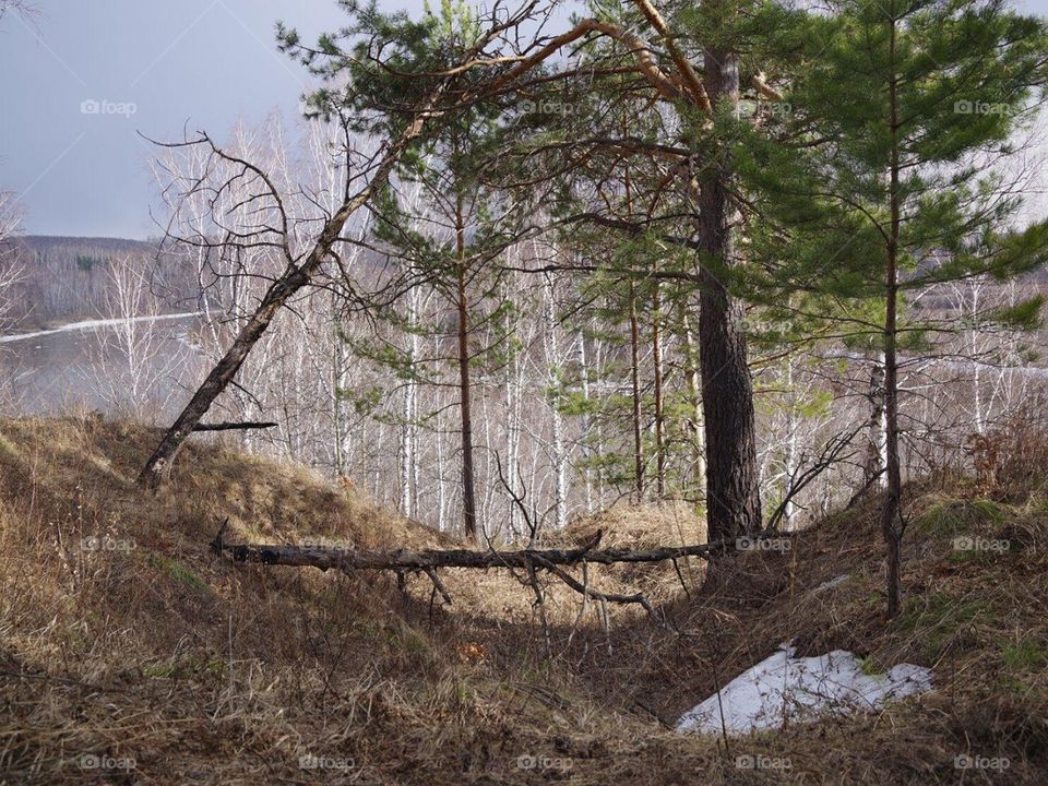 Красоты Кузбасса