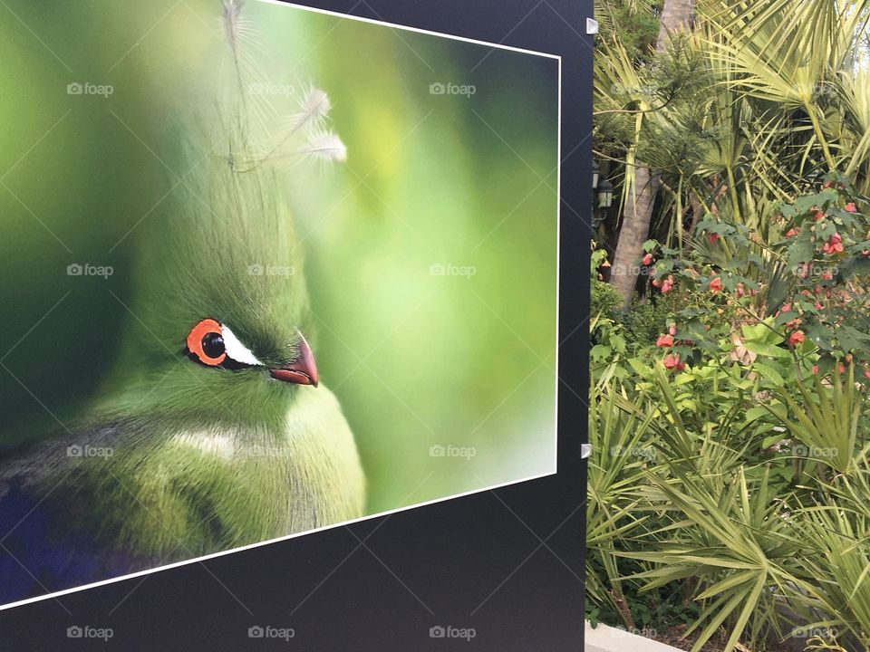 Photography gallery in open air