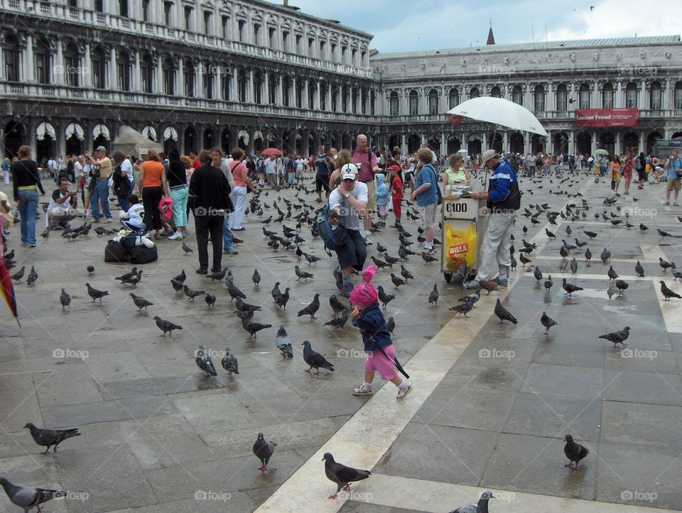 Pigeons everywhere 