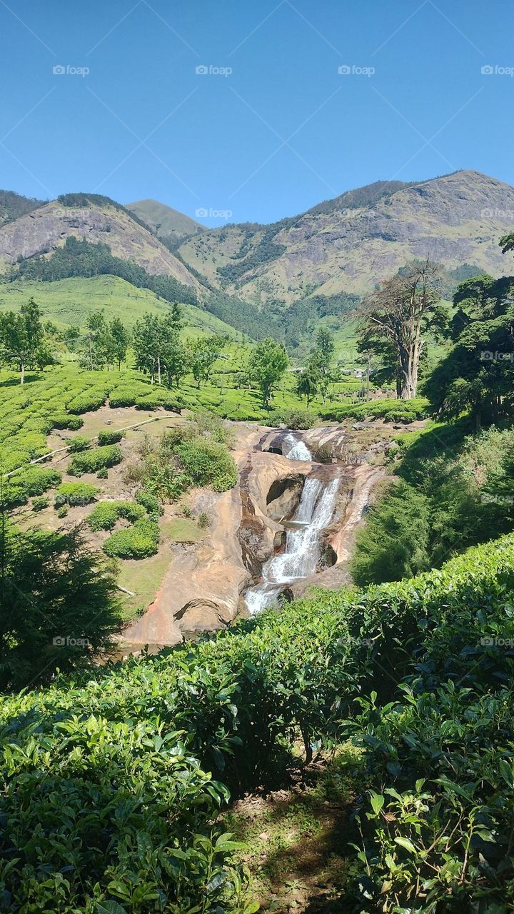 A walk in nature walks the soul back home.” – ...