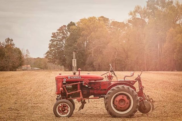 farm days