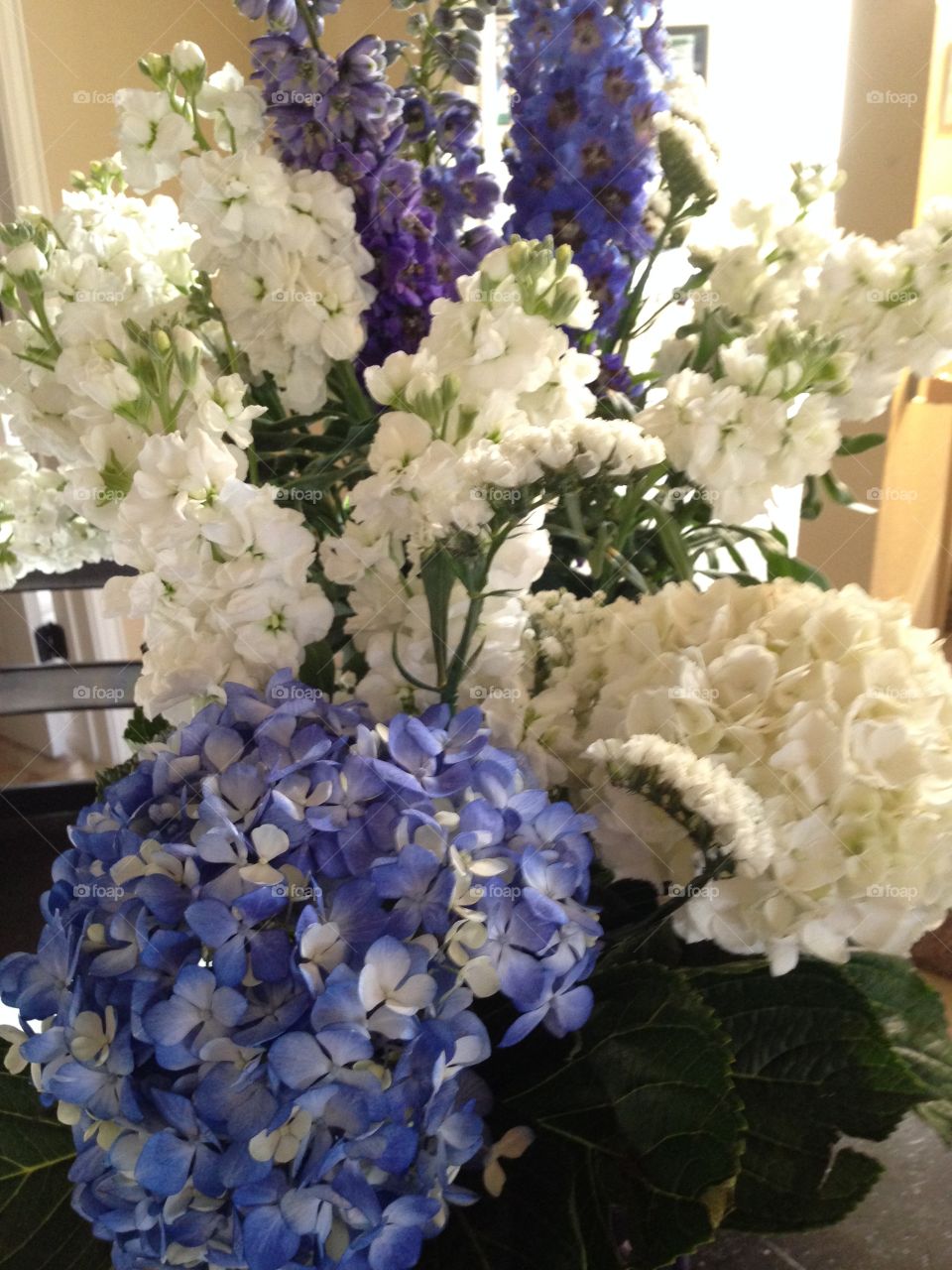 Blue and white flowers