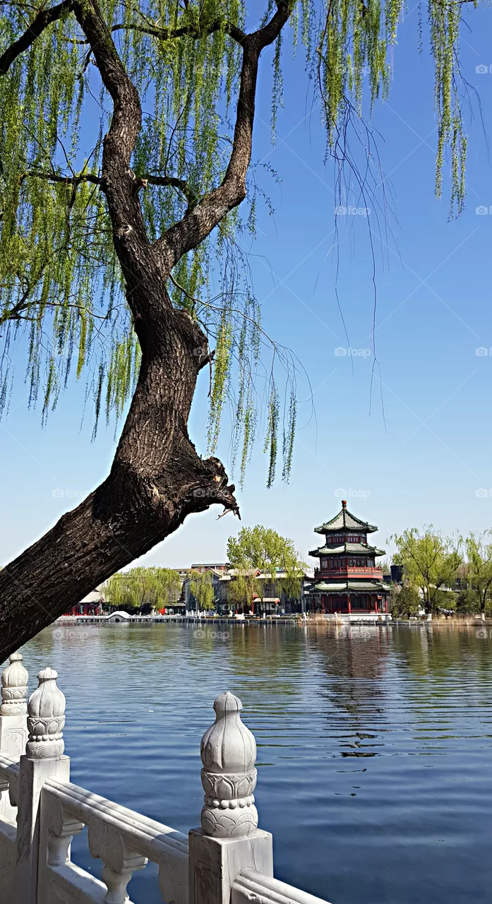 Winter in Shichahai, Beijing