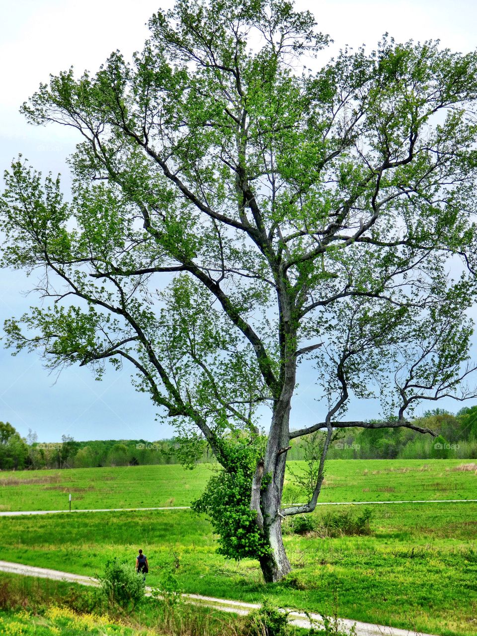 Beautiful spring hiking 