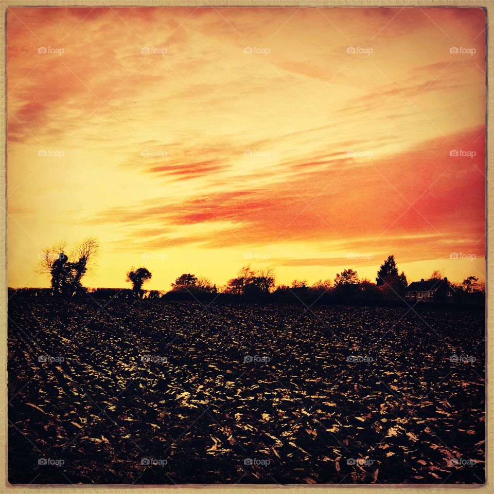Ploughed fields sunset