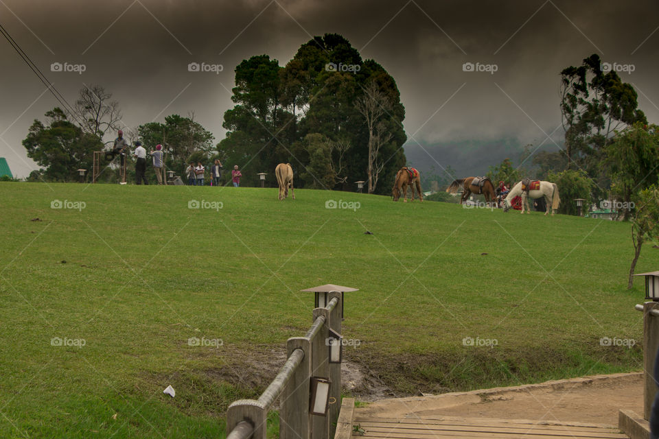 let the vacation begin