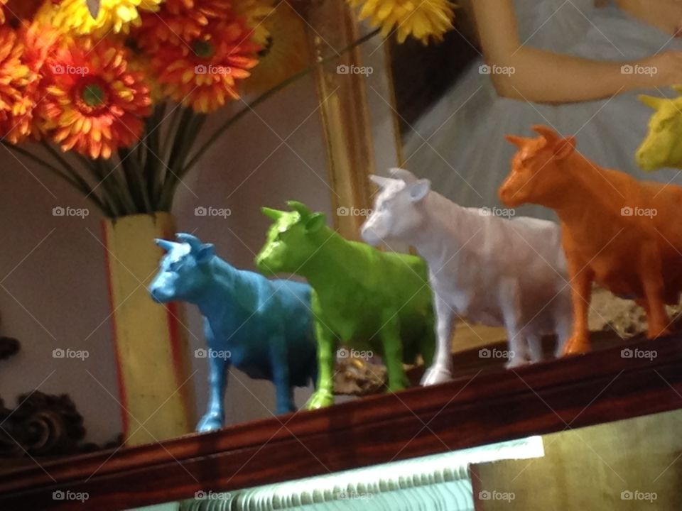 Colorful Cows