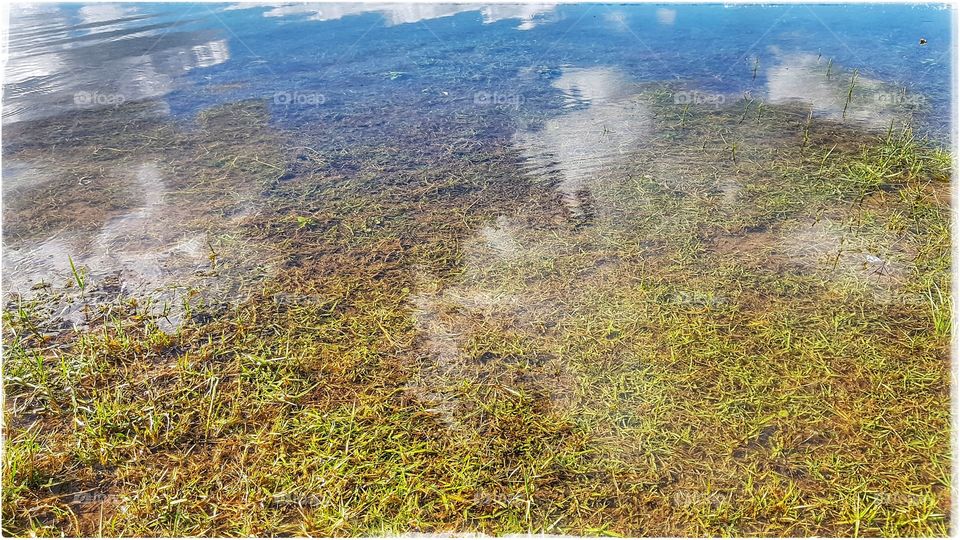 ရေ လို ကြည်လင် အေးမြ ကြပါစေ