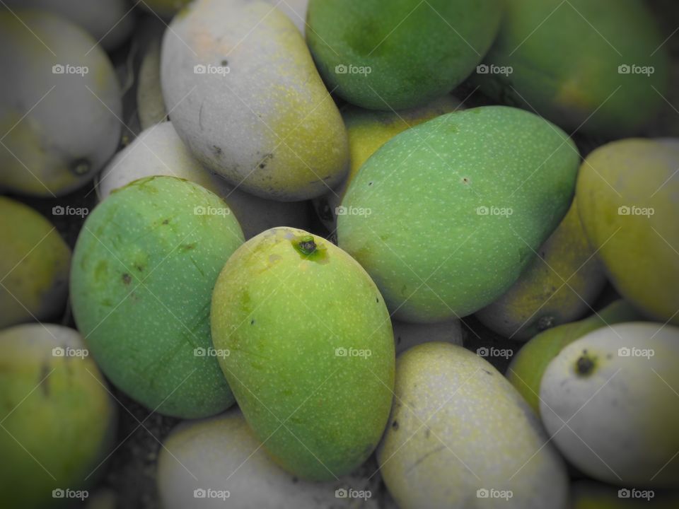 manga mango fruit fruta